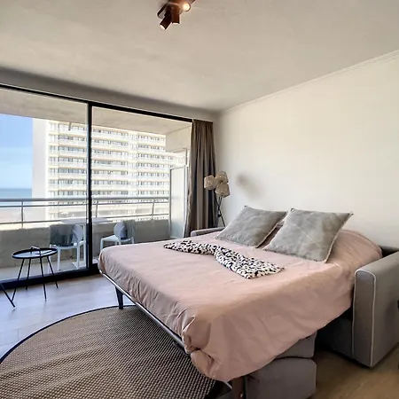 Royal Ascot R7 Met Terras En Zeezicht Op Toplocatie * 오스텐드